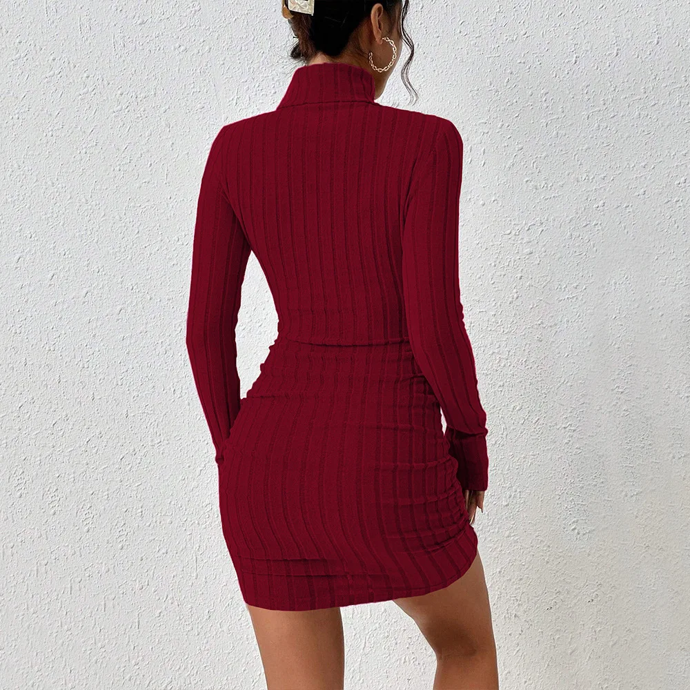 Wine Red High Collar Simple Elegant Short Dress for Women Knitted Thick Winter Long Sleeve Bodycon Dress High Waist A-Line Skirt