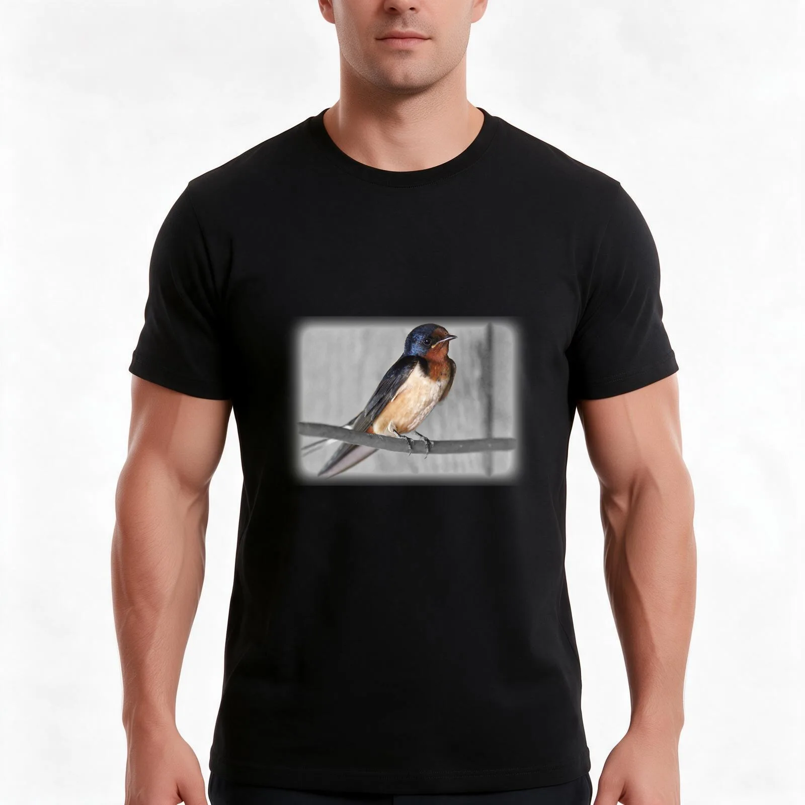 Barn Swallow T-Shirt, Summer Casual Cotton Tee, Oversized Streetwear Tops, Vintage Graphic Print, Loose Fit Short Sleeve