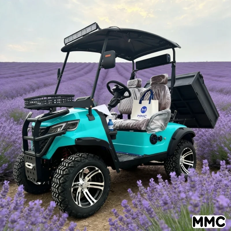 

2026 Сертифицированная CE литиевая батарея 72 В, низкоскоростная тележка для гольфа LSV для домашнего использования, с солнечной панелью, 2 местами и задней грузовой кроватью.