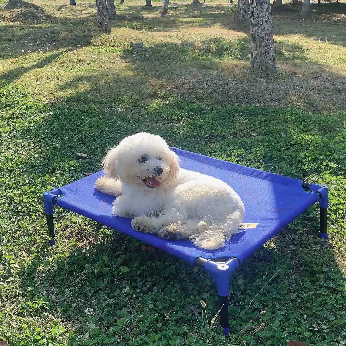 Lit de chien surélevé portable - Outdoor Camping Dog Bed avis et prix