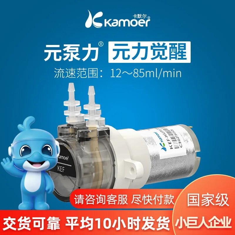 Peristaltic 12v Miniature Water Pump Electric Self-priming DC Circulation Mini Gear Small Water Pump