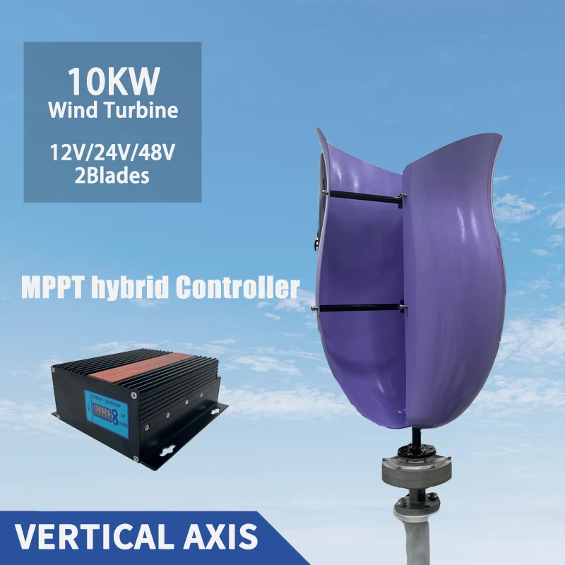 2 Blades 10000W Vertical Axis Permanent Maglev Wind Turbine Generator 12v 24v 48v With MPPT Controller