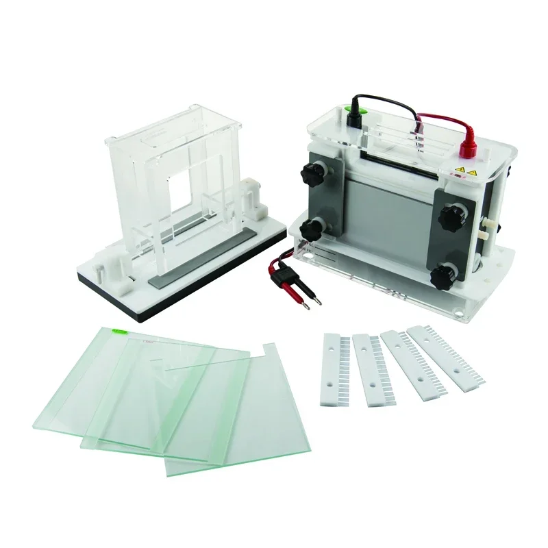 Sistema de tanque de eletroforese vertical SSR rápido