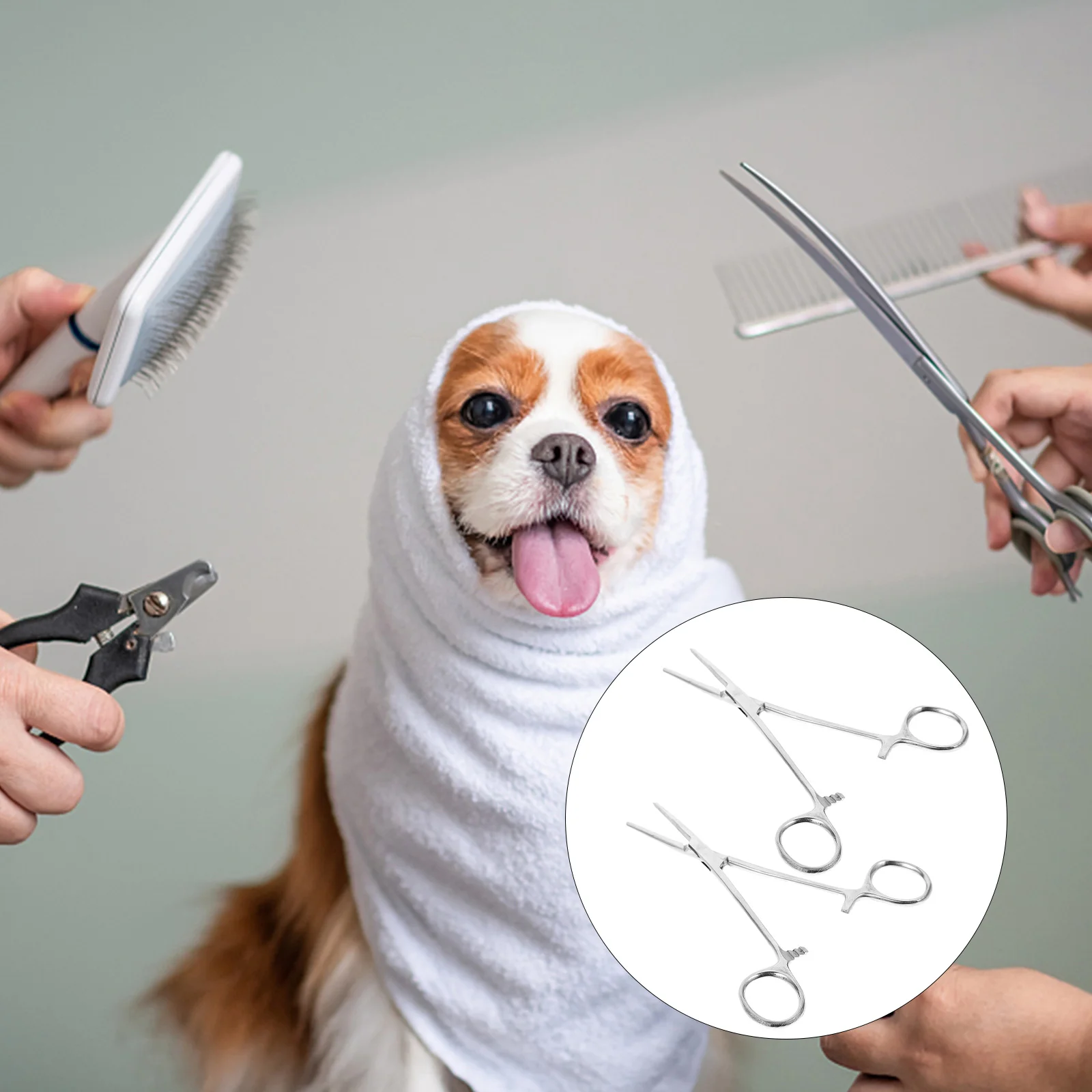 2 Buah Tang Rambut Hewan Peliharaan Pinset Tang Pembersih Luka Hemostatik Baja Tahan Karat Alat Terapi Bekam Hemostatik Rumah Epilating