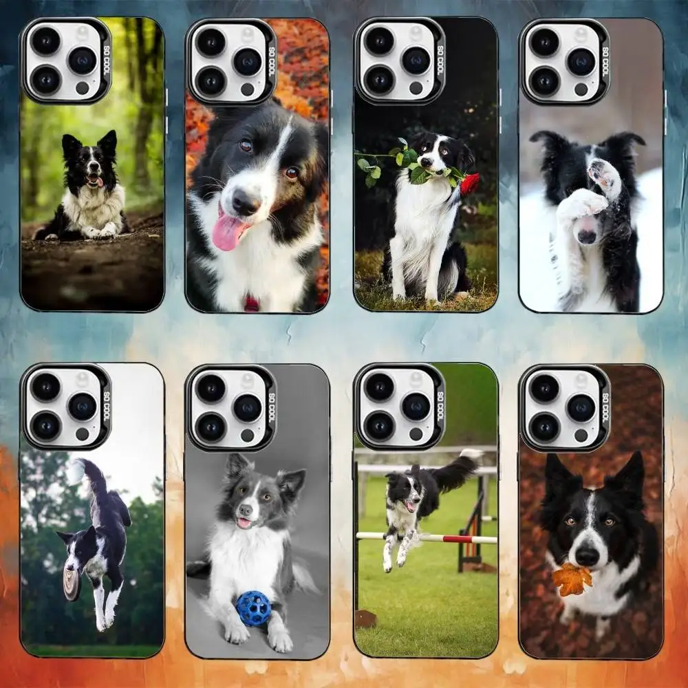 

Border Collie Dog Phone Case For iPhone 17 16 15 14 13 12 11 Pro Max Plus Silver Matte Black Cover