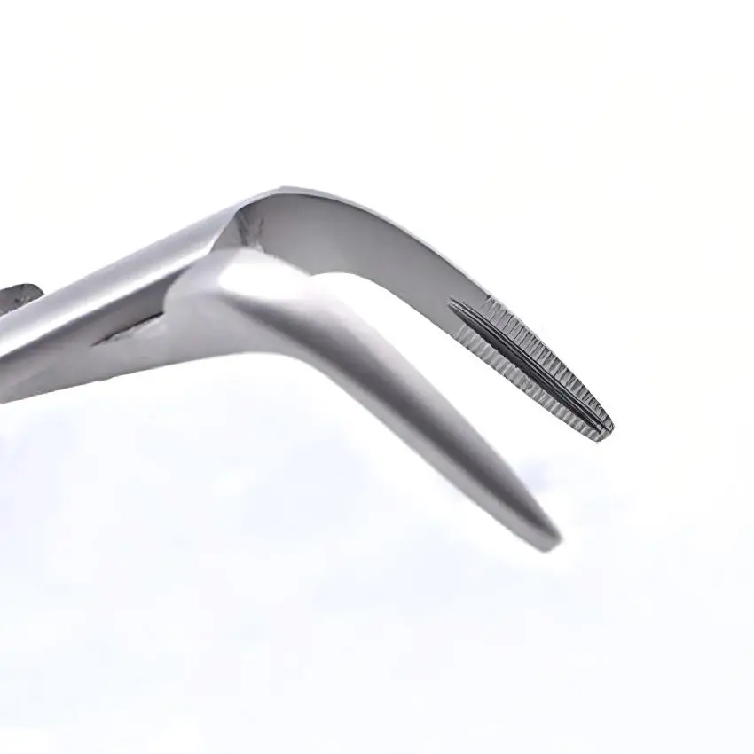Pinza per estrazione dei denti per frammenti di radici dentali Pinza per strumento Strumento mandibolare maxillare curvo