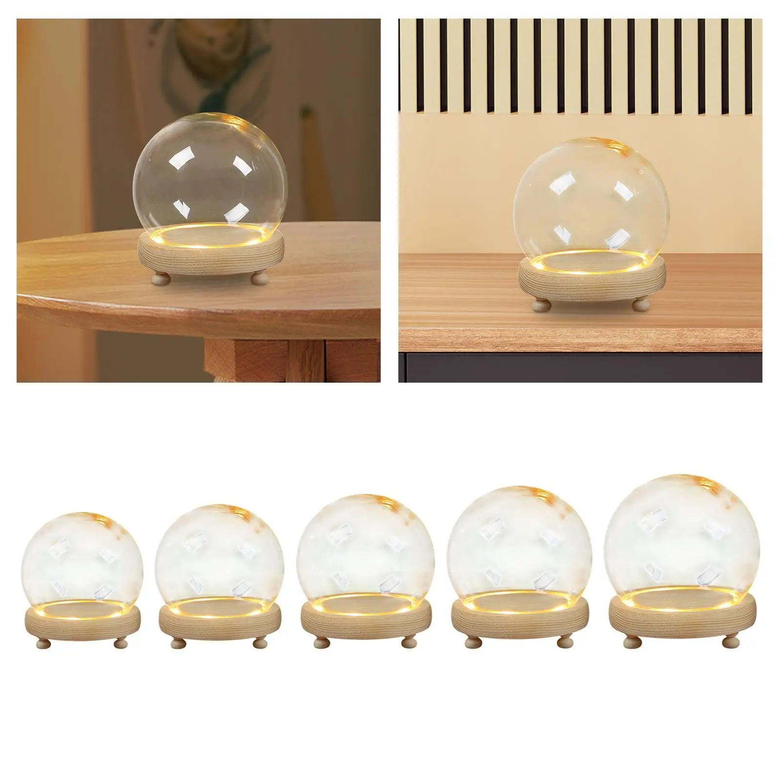 Display Cloche Dome with Wood Base Micro Landscape Holder Home Decoration Small Round Crafts Glass Cover Tabletop Display