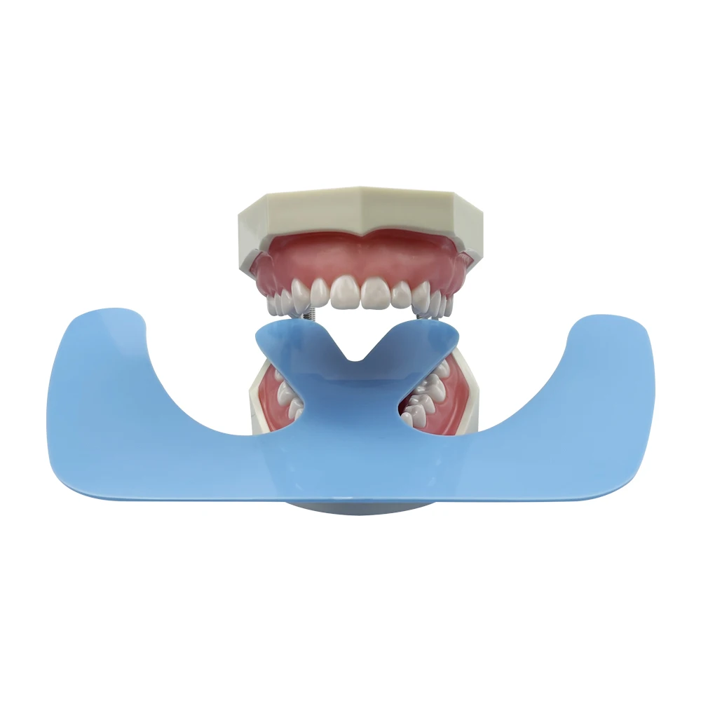 1 ชิ้นทันตกรรมจัดฟัน 3D Occlusal Maxillary หล่อ Jaw แผ่นเครื่องบินปากยามช่องปากทันตแพทย์เครื่องมือ Complete ฟันปลอม