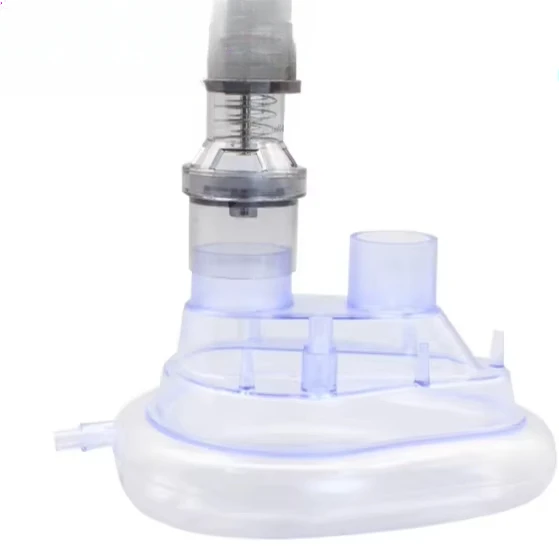 Disposable twin port mask with peep valve