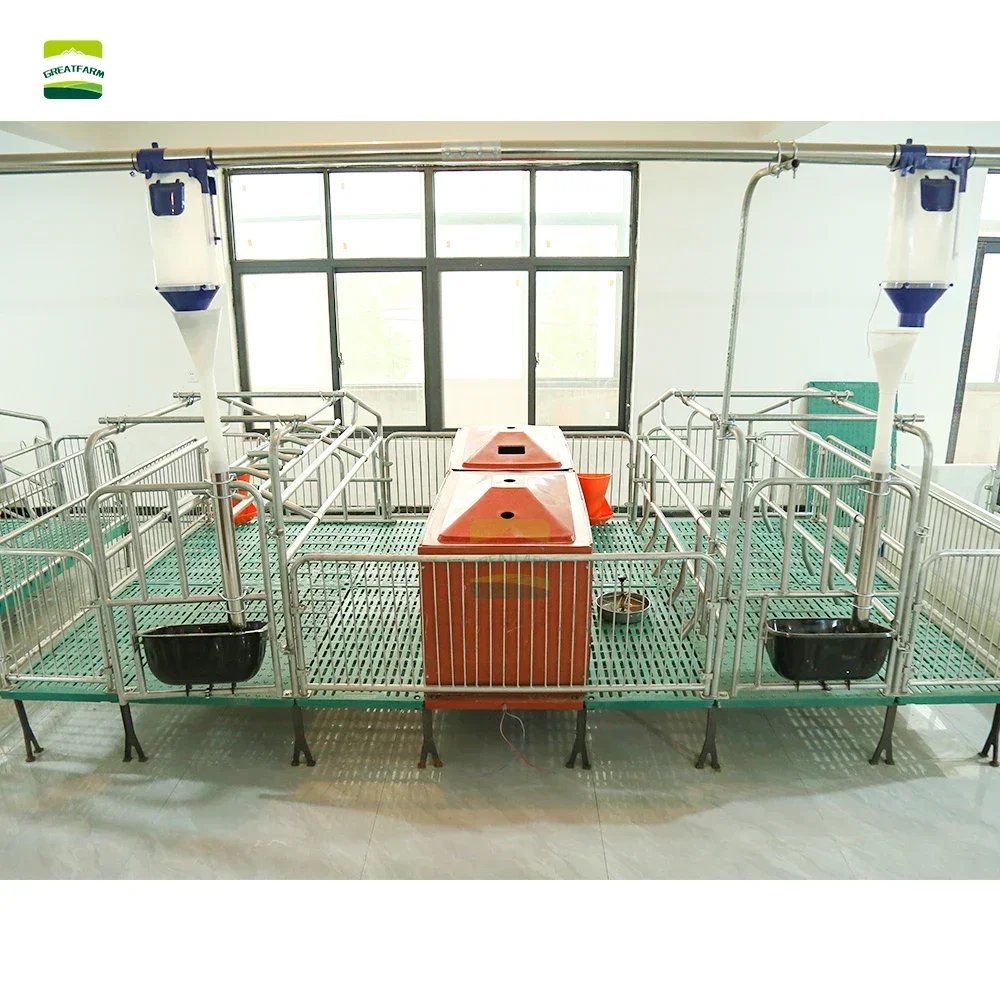 2024 best-seller Pig Farming Equipment cost-effective Pig Farrowing Cages for pig