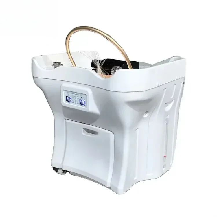 Portable No Plumbing Japanese Head Spa Spa Modern Massager with Fumigation Water Circulation Shampoo Basin