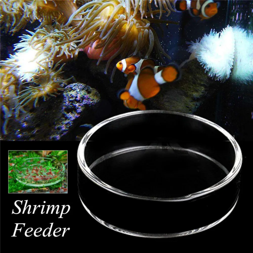 Clear Glass Shrimp Feeding Food Dish Feeder Tray Round Container Aquarium Fish Tank Feeding Bowls Feeding Tropical Fish Ratfish