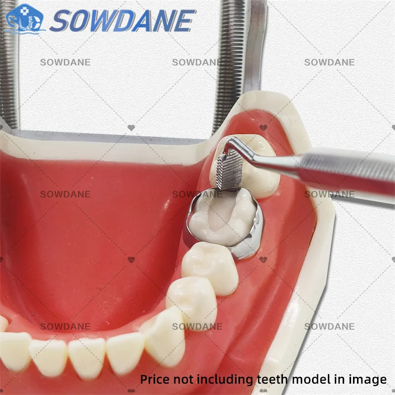 Tubo empurrador de banda ortodôntica dentária de extremidades duplas, ponta longa e curta com raspador, instrumento de limpeza de dentes