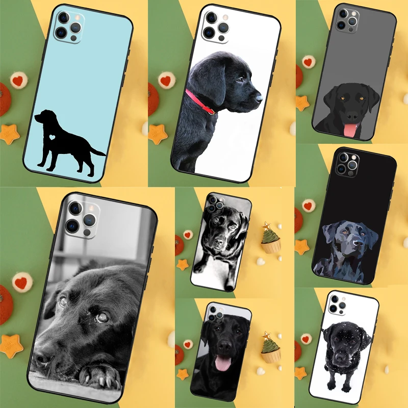 Black Labrador Dog … - image