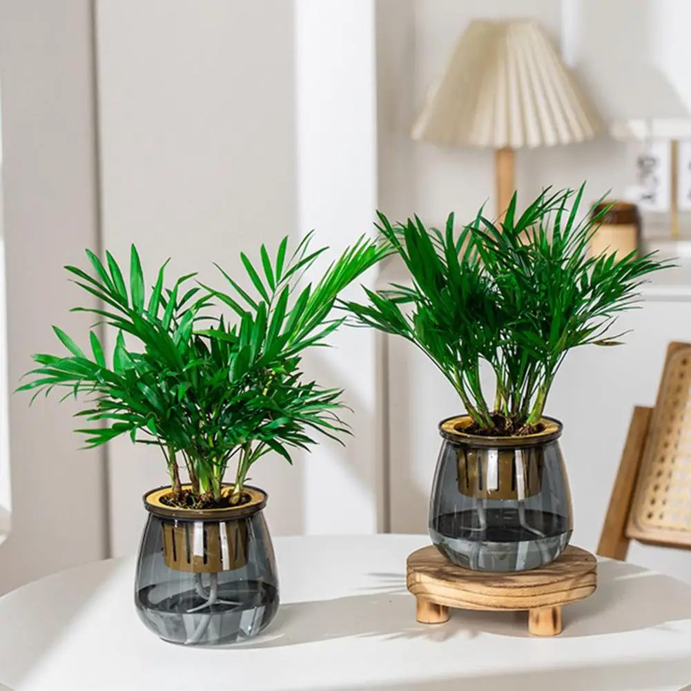 Mini Self Watering Flower Pot Tank Transparent Plastic Plant Pots Self Watering Planter Pot Vase For Home Decoration