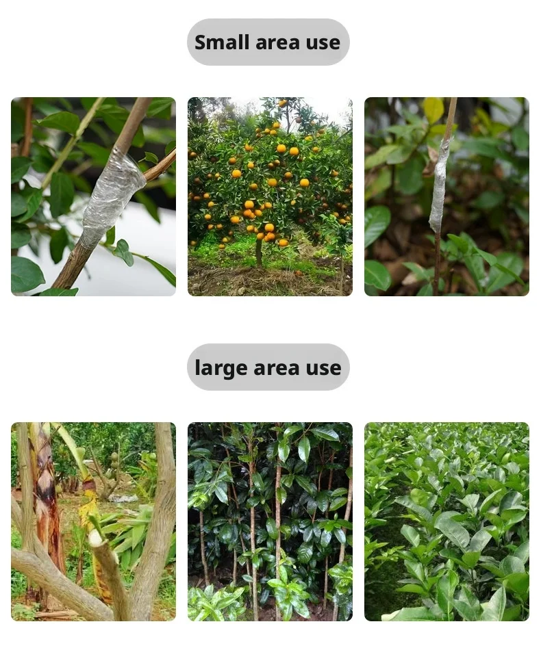 200 m PE-Pfropfbandfolie, selbstklebend, für Obstbaum, Kinderzimmer, Pflanzen, Sämlinge, Rebe, Floristik, Tomaten-Pfropfzubehör, dehnbar – Detail 13