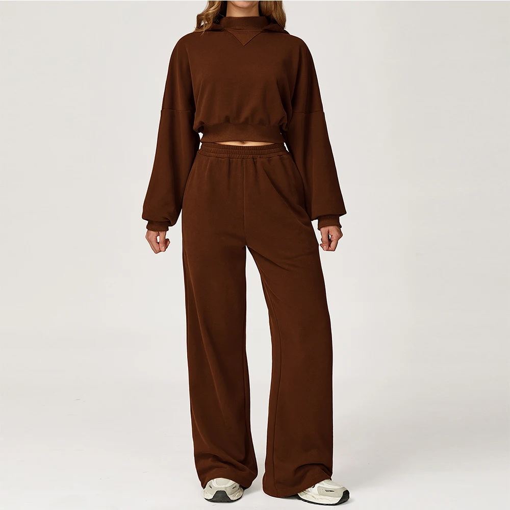 

Зимний комплект свитшотов с капюшоном, женская одежда из 2 предметов, повседневный уличный свободный комплект для йоги, женская повседневная спортивная одежда для бега