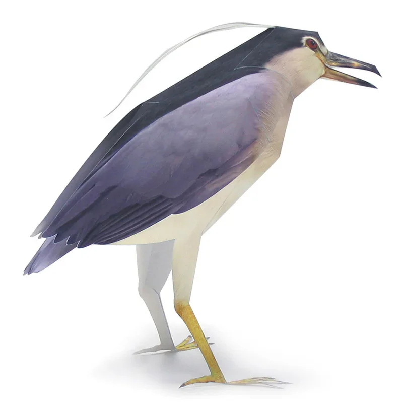 Night Heron Bird Paper Model Realistic Animal Mini Cute 3D Papercraft DIY Kids Adult Handmade Origami Art Craft Toys WE-021