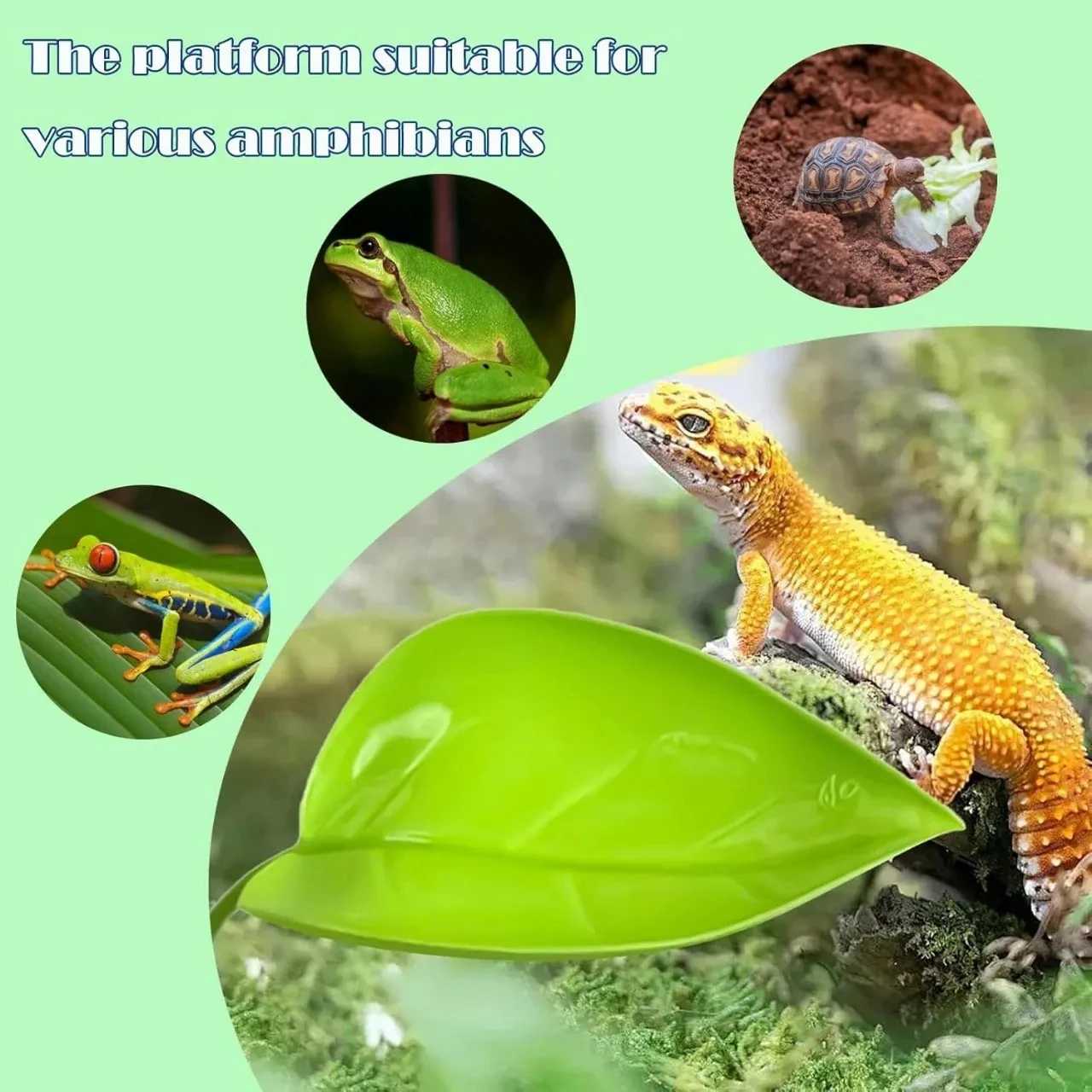 Reptilien-Sonnenliegeplatz Ruhterrasse Frosch-Habitat Blatt mit Saugnapf Terrarium-Zubehör Simulierte Blätter für Geckos – Detail 3