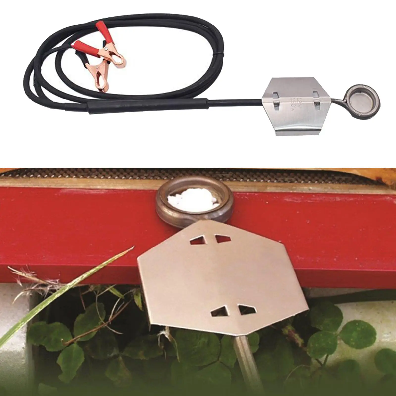 

Oxalic Evaporator Treatment Bee Varroa Beekeeping Tool, Easy to