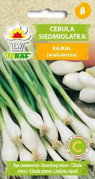 Onion of seven-year-old Baikal 3G vegetable onion seeds TORAF