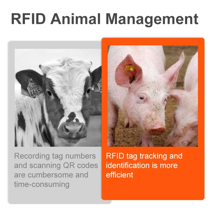 Factory Direct UHF RFID Animal Electronic Ear Tag for Pigs Cattle Sheep Livestock Identification