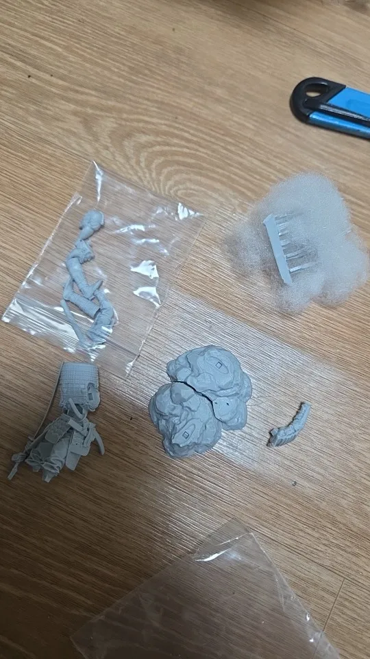 Buyer photo of this resin kit