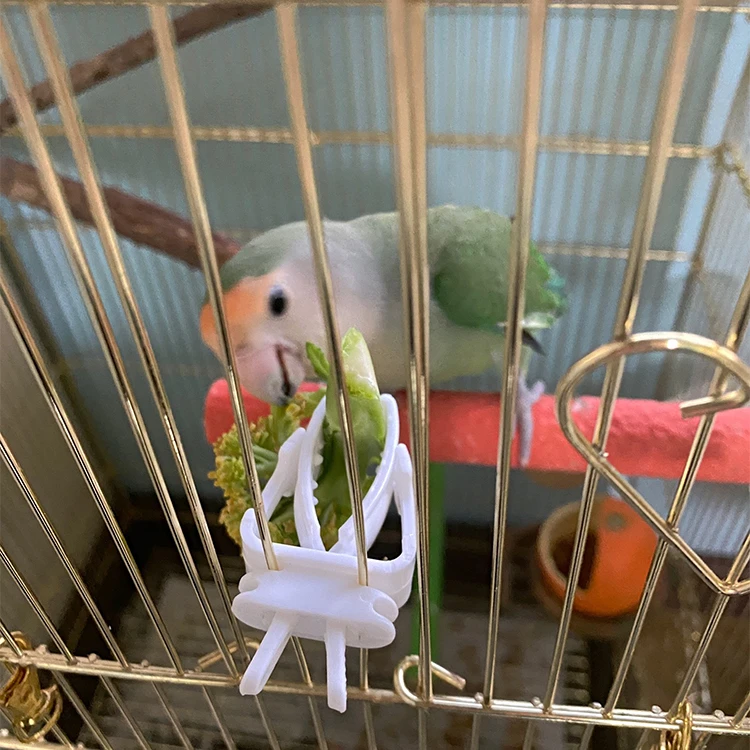 

200pcs/bag Bird Cage Accessories Food Holder Clip for Parrot Pet Products