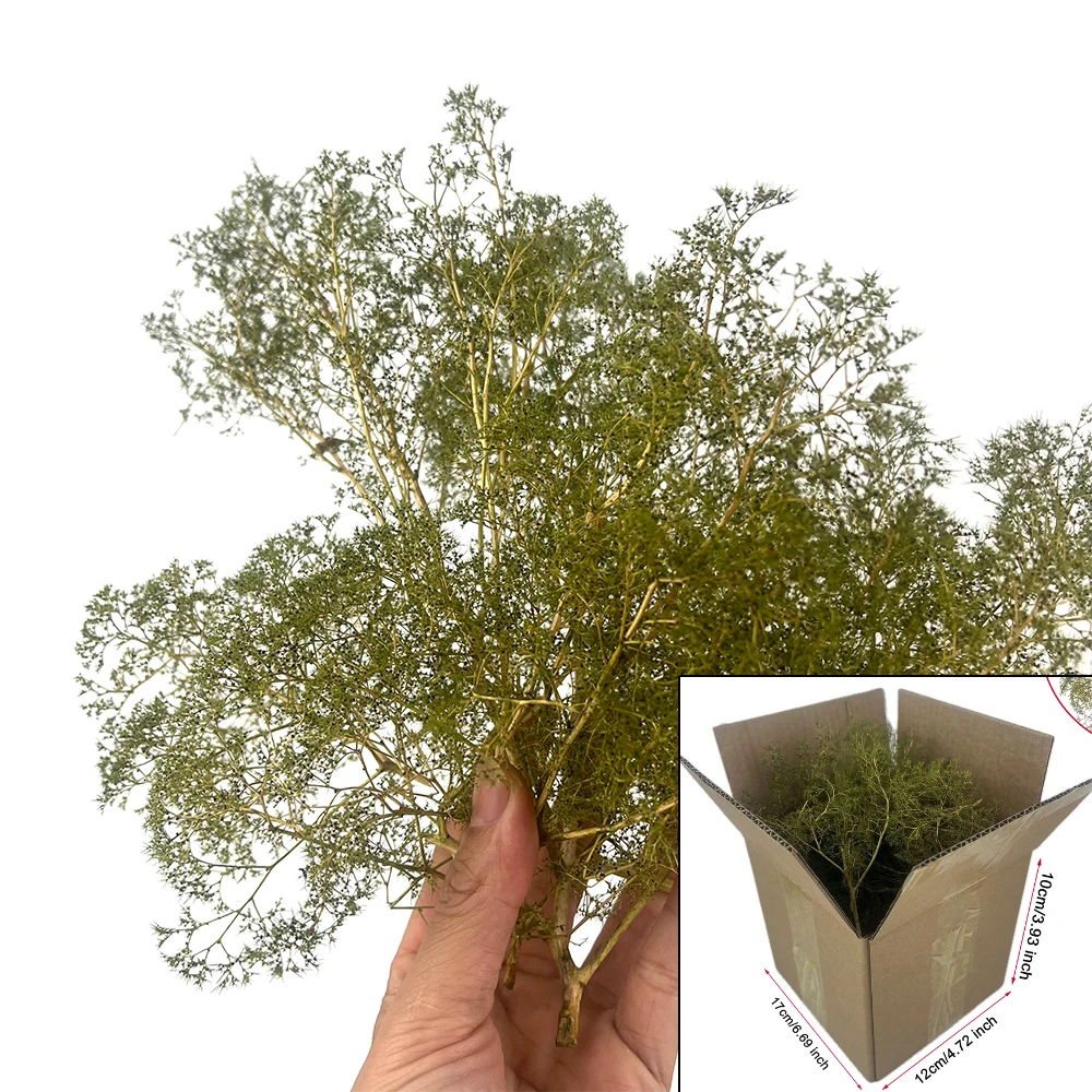 محاكاة العشب الجاف نموذج تشينوبوديوم أشجار الأرستاتوم بوش لطاولة الرمل HO العسكرية المناورات قطار السكك الحديدية المشهد 1 صندوق #3