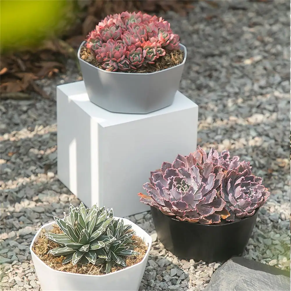 Pot de fleur en résine de grande capacité, construction solide, succulentes d'intérieur, grand diamètre, 1 ensemble