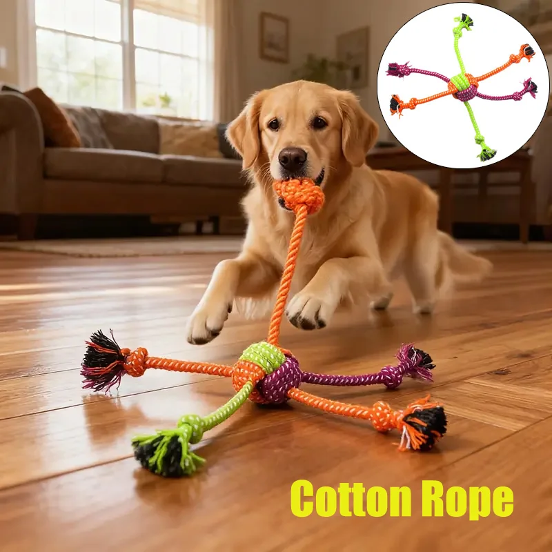 #33 Interactive Pet Toys List of Top Picks