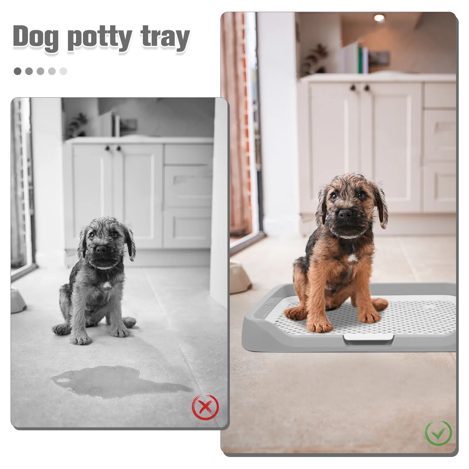 Thumbnail 3 - #17 Ranked Indoor Pet Litter Trays Picks in 2026