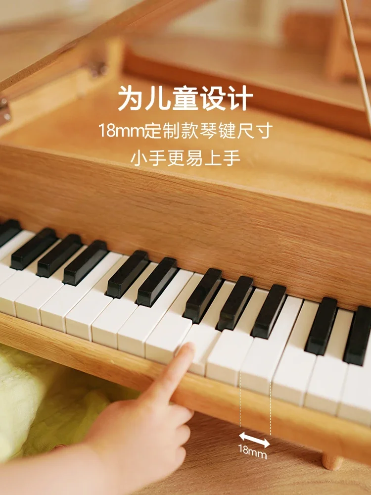 Piano electronic organ beginner mini piano instrument gift