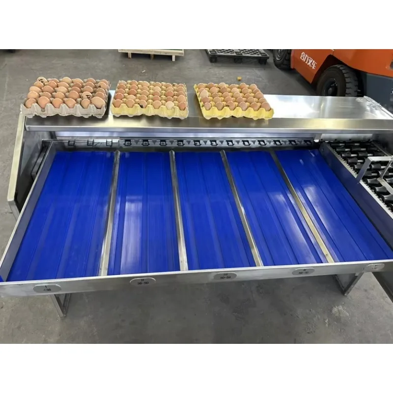 Aangepaste sorteerstandaarden Roestvrij staal Eier sorteermachine Systeem Eiersorteerapparatuur Eierclassificator Apparaatmachine