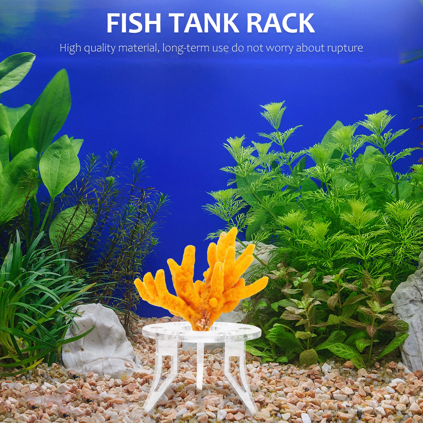 

Ornaments 6+1 Holes White Base 6.5cm High Coral Mount Tank Accessory Stable Holder Fish Tank Decor Aquarium