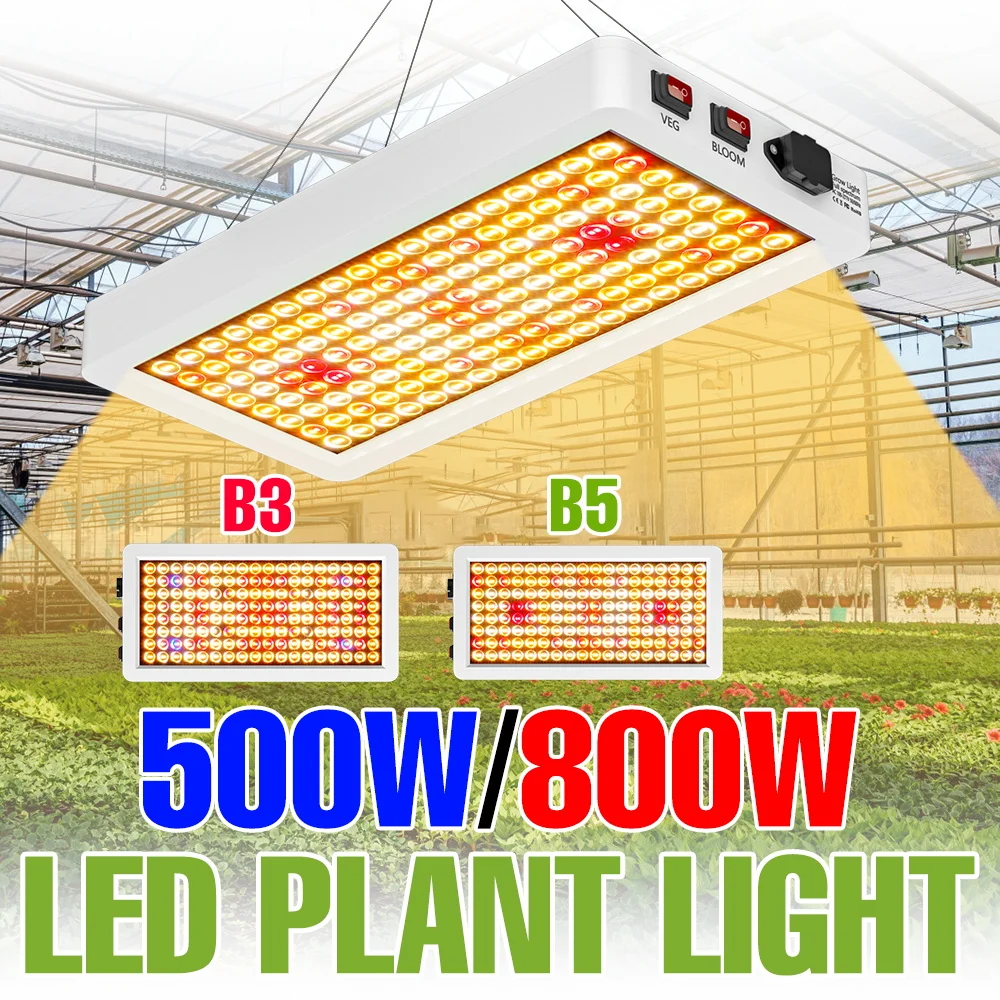 800W Full Spectrum …