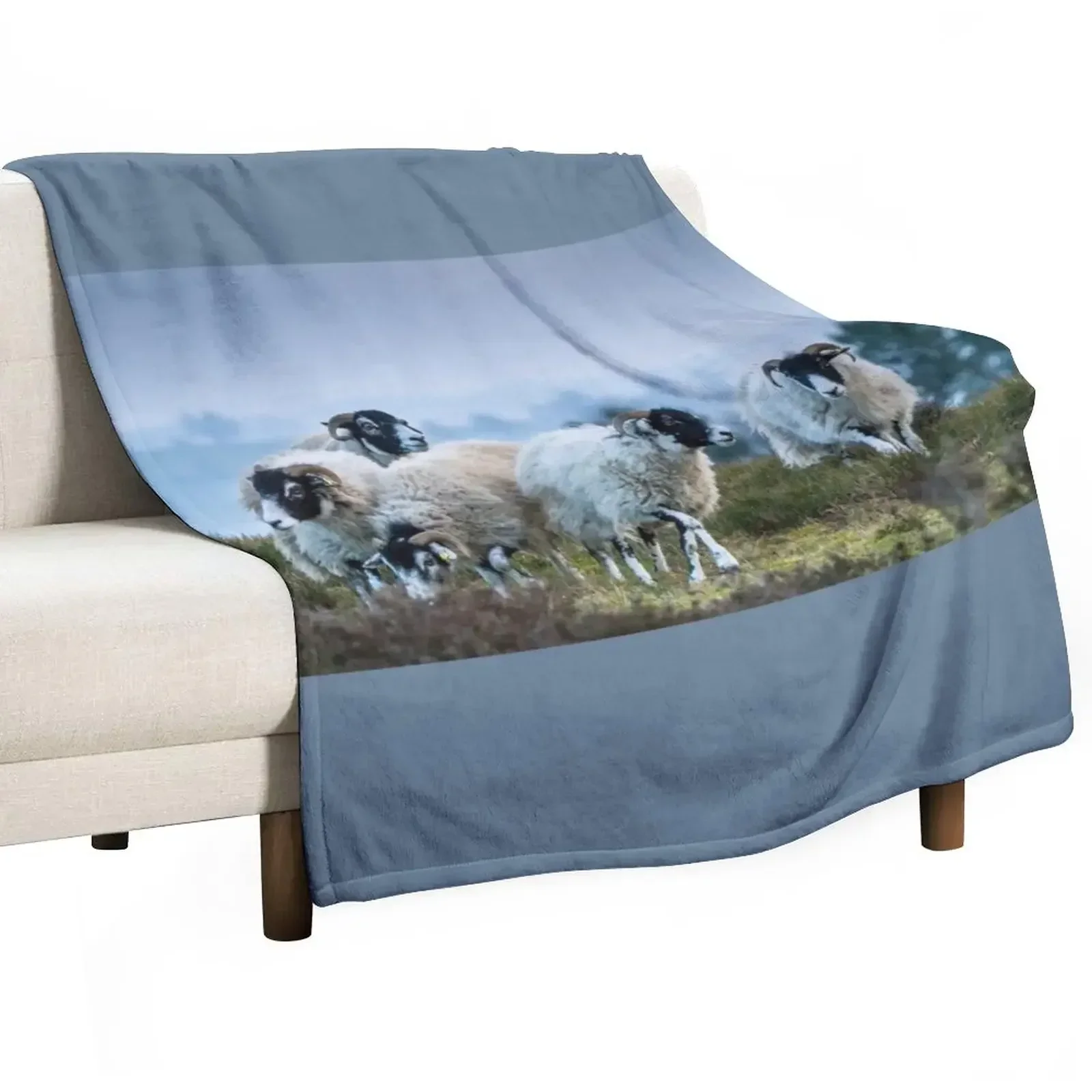 

Swaledale Sheep on Stanton Moor Throw Blanket bed plaid Cute Soft Plaid Luxury Thicken Blankets