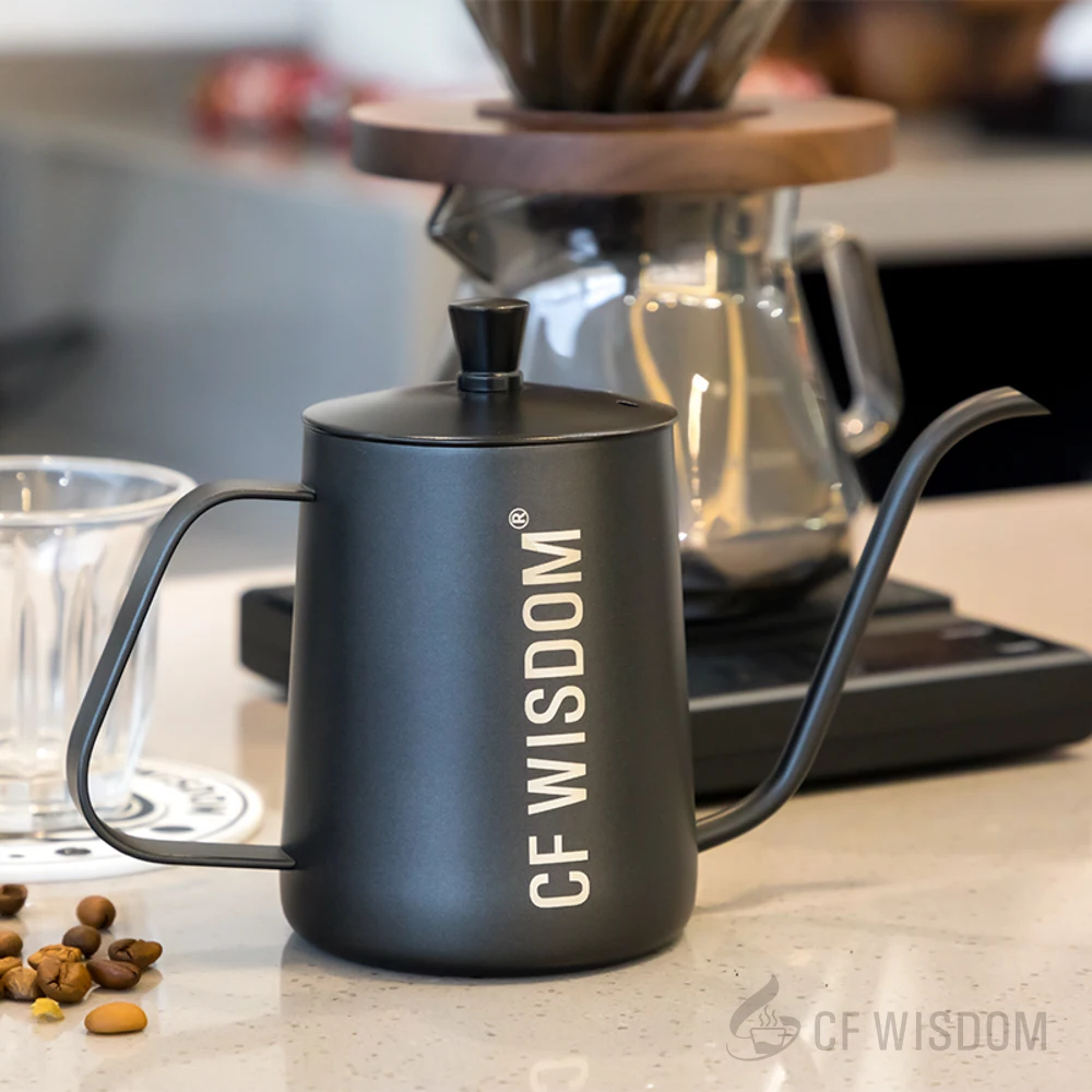 CF WISDOM Classic Vintage 600ML Stainless Steel Coffee Drip Pot Temperature Display Gooseneck Kettle Hand Brewing Barista Tool.
