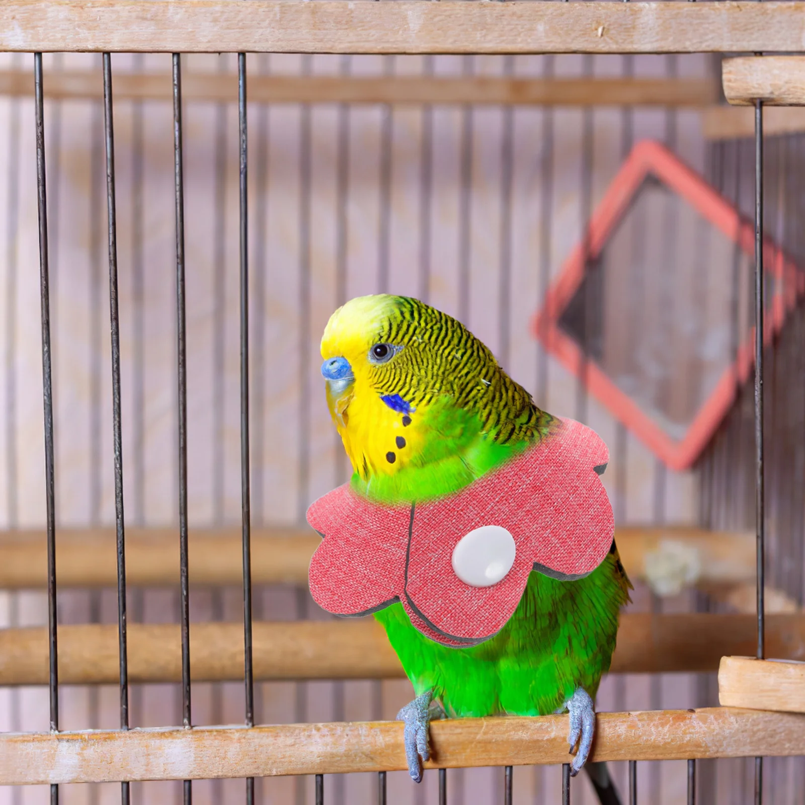 

2Pcs Pet Bird Collar Anti-Pecking Anti-Biting Tool Parrot Neck Protector Lightweight Design Easy Wear Cone Collar