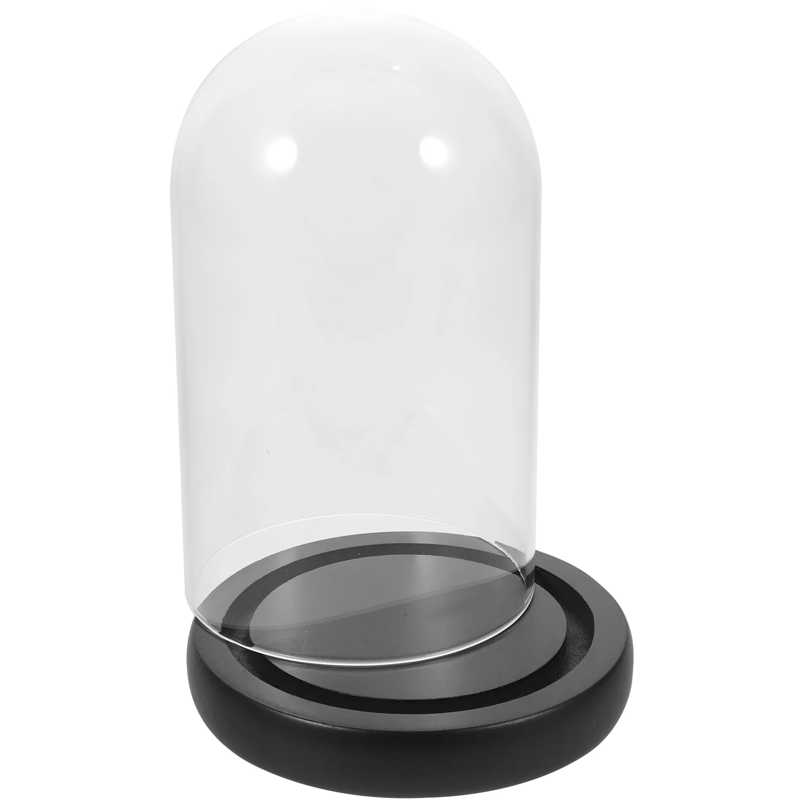 

Glass Cover 9x15 Black Wood Dried Flower Glass Display Cover Cloche Display Dome Plant Showcase Storage Vase Container