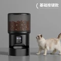 Section A