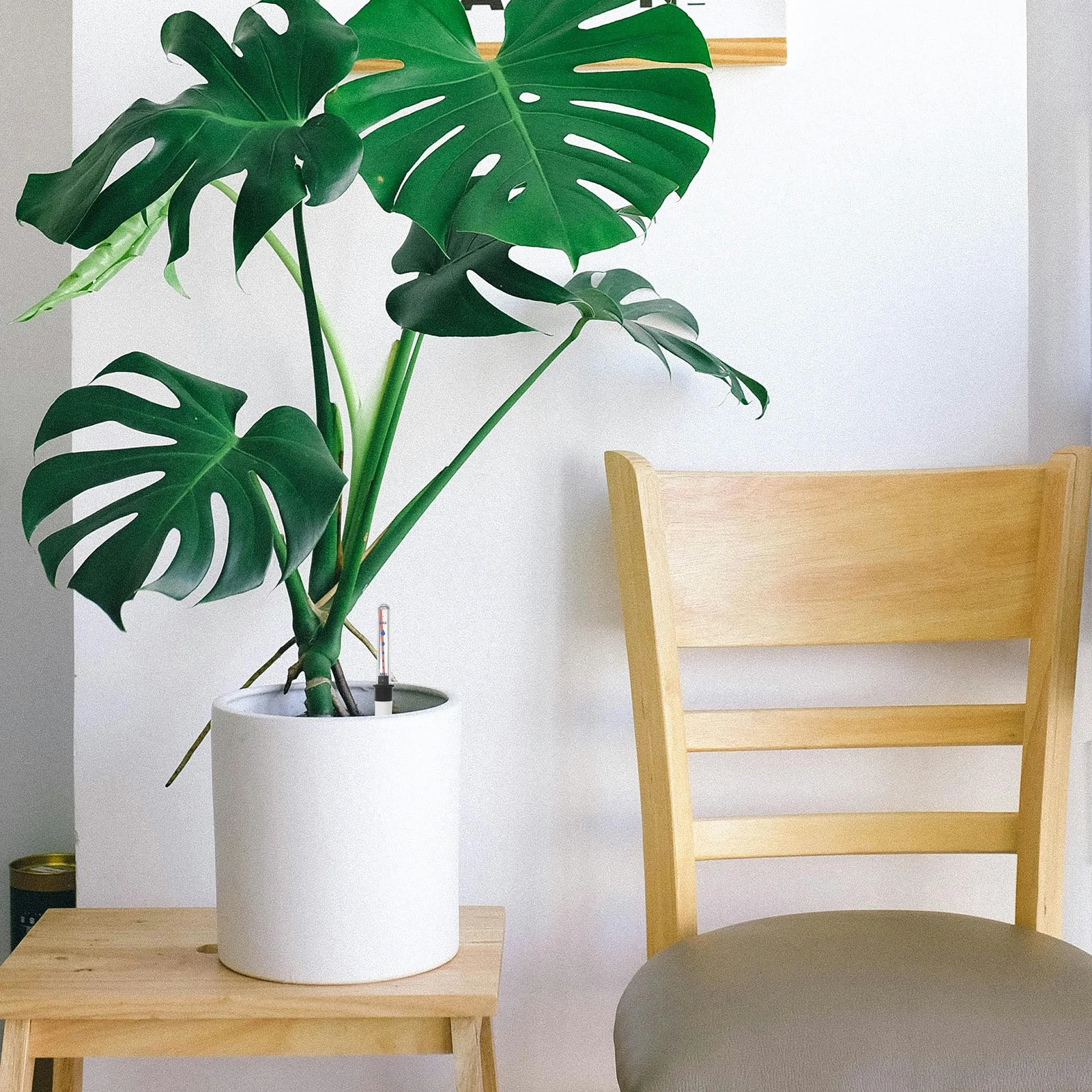 Indicador de umidade para plantas em vasos, 2 peças, medidor de nível de água com bóia flutuante, fácil de usar, medidor de água de plantas para uso diário