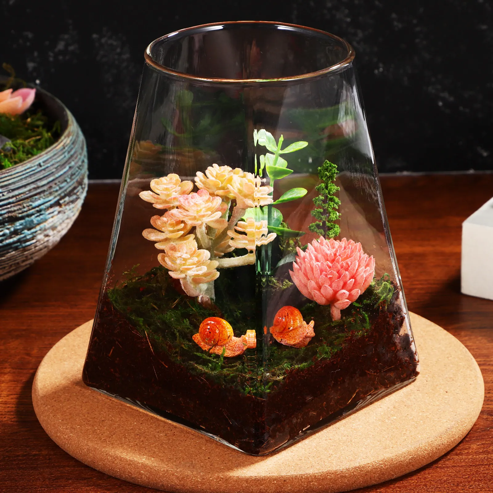 Square Bottom Round Terrarium Container for Landscape Moss Garden Desktop Coffee Table Decor Clear Glass Vase