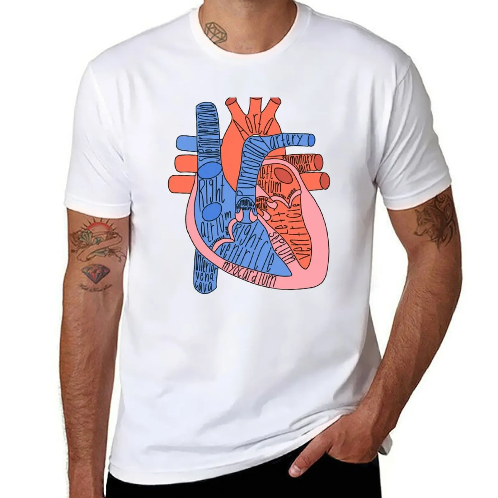 

Labeled Heart Anatomy T-Shirt man tshirt essential t shirt T-Shirt