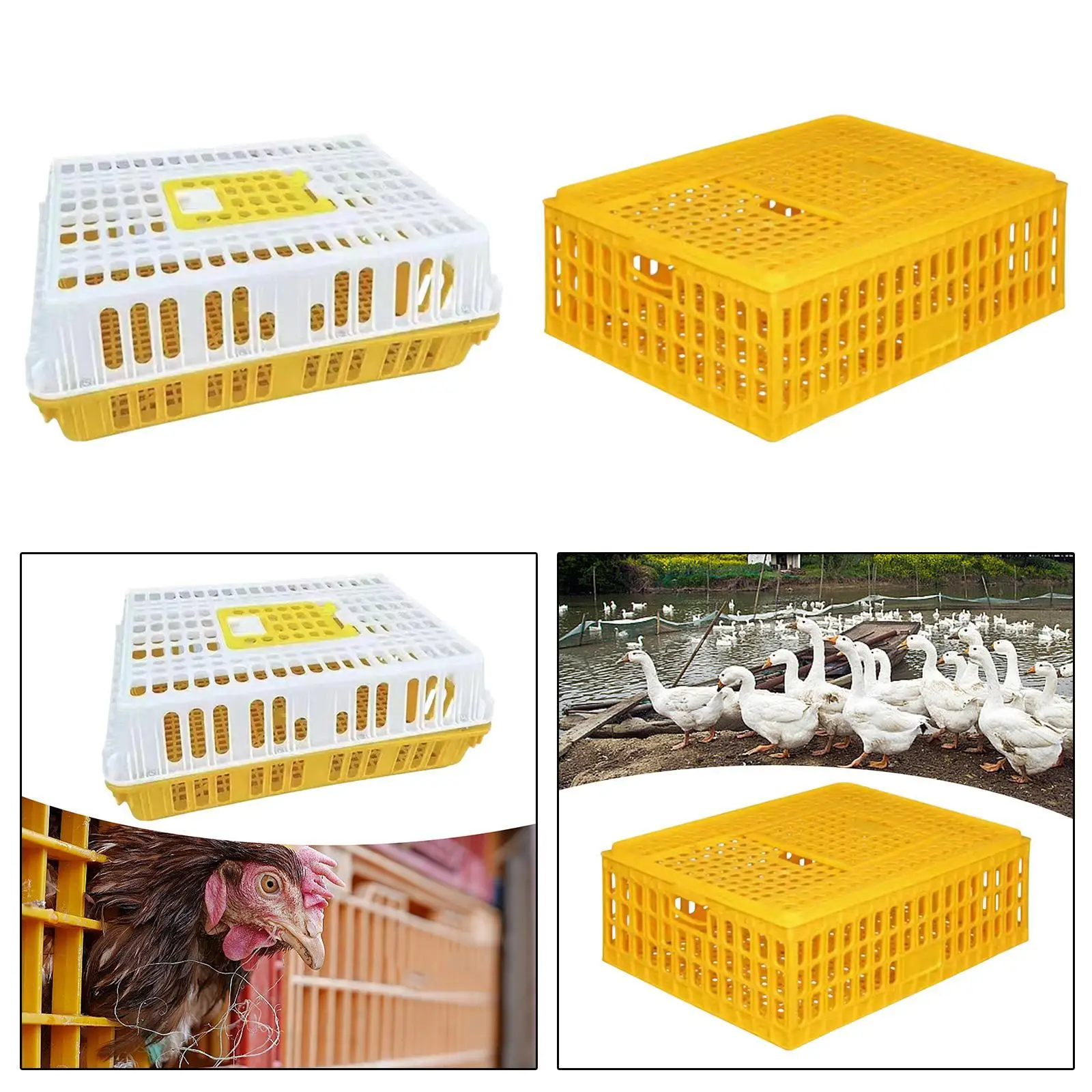 

Poultry Carrier Crate Chicken Crate Thickened Reinforced Breathable Transport Basket for Pigeons Ducks Quails Chickens Rabbits