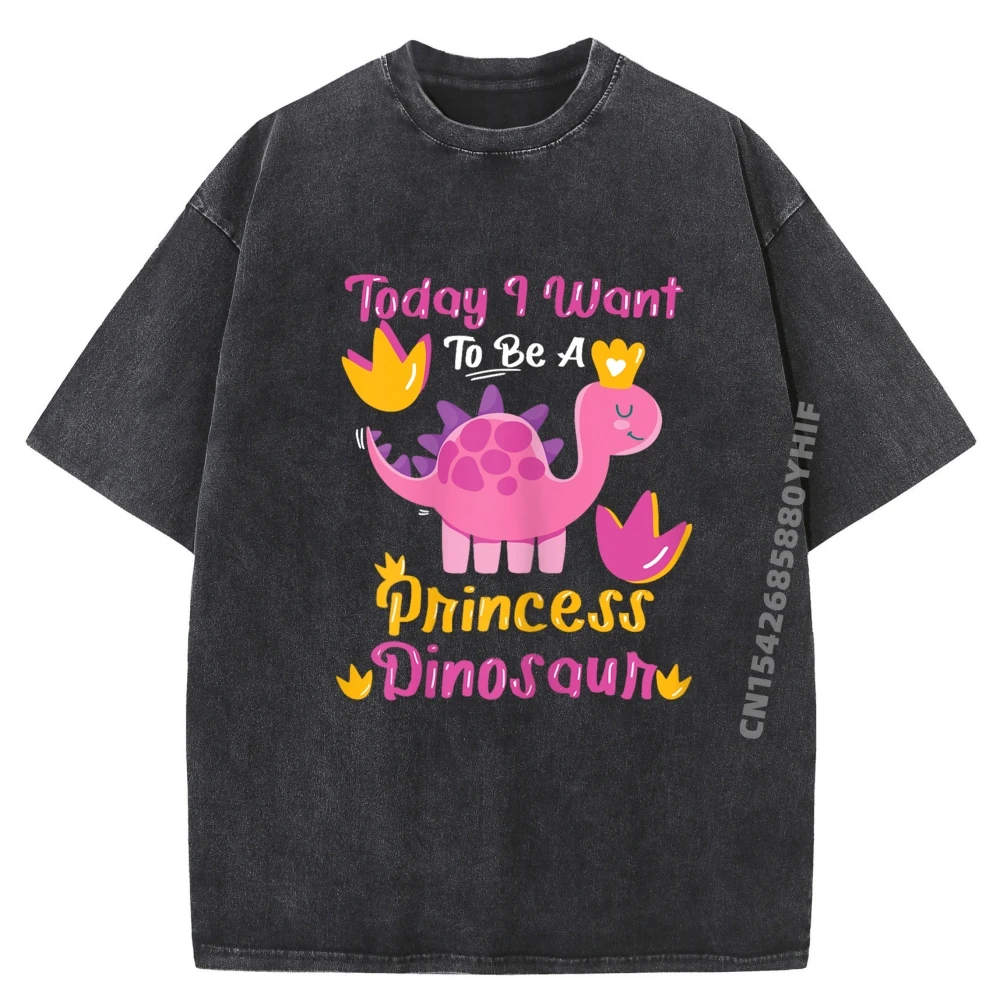 

Today I Want To Be A Princess Dinosaur Cotton Graphic Tees Mans Vintage T Shirts Mens Soft Washed Tshirt For Men