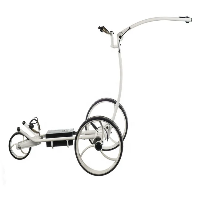 حار بيع سبائك الألومنيوم الكهربائية عربة الغولف التحكم عن بعد مع عجلات ملونة #2