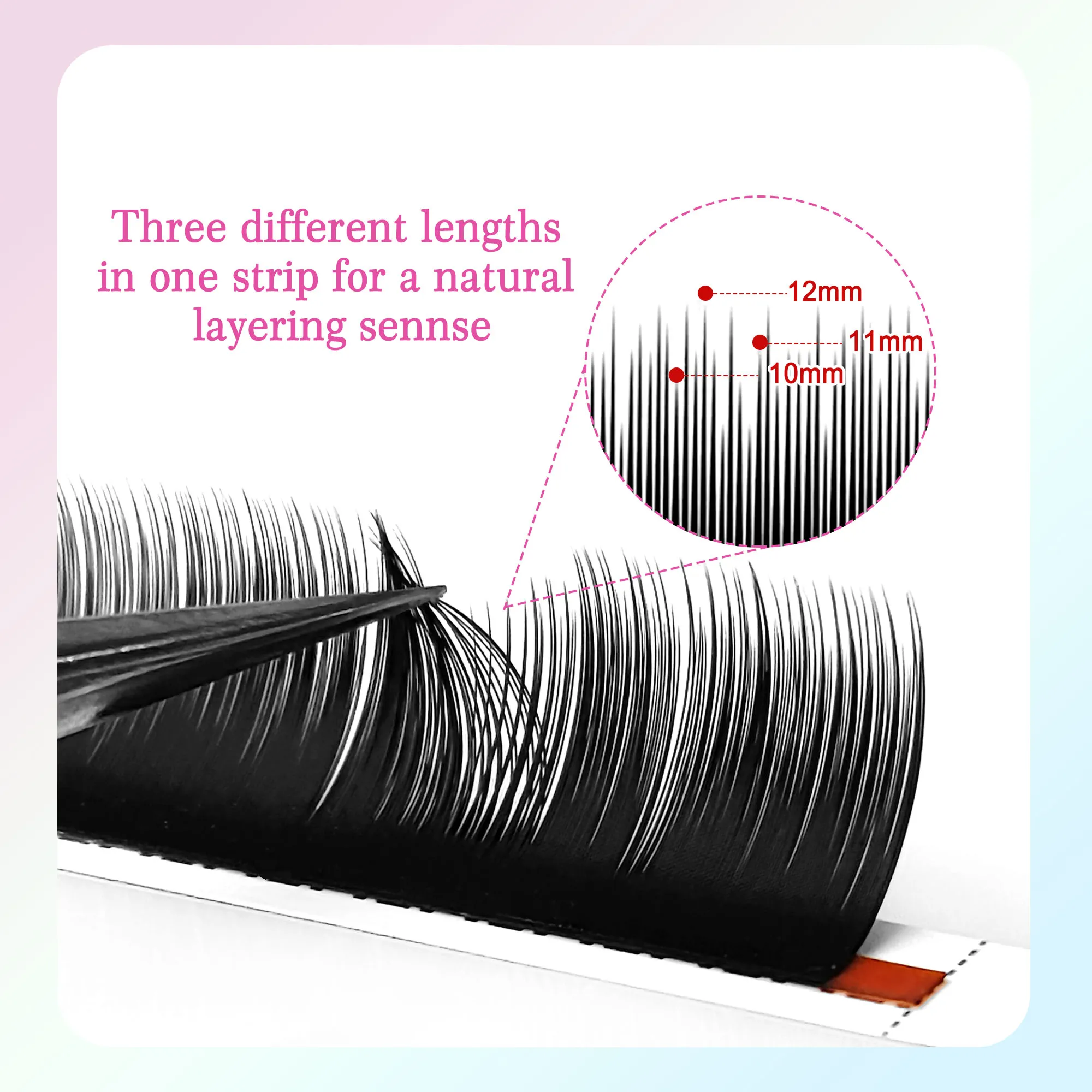 CoMango B/C/D カーブのツバキまつげエクステンション、カシミヤの多層自然ボリュームファン、フェイクまつげクラスター
