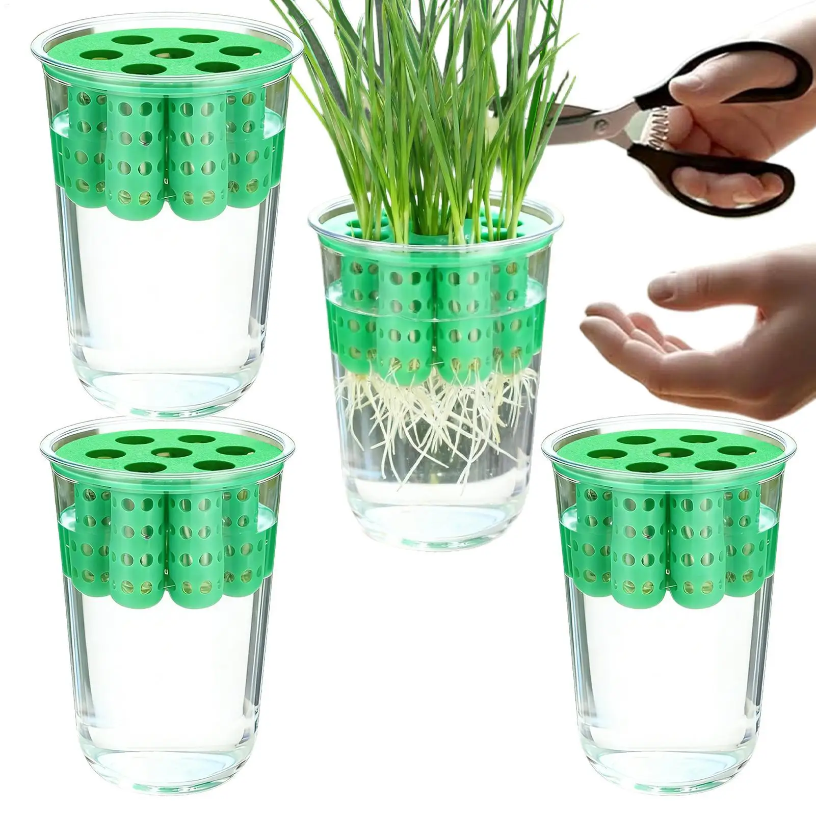 Kit de Cultivo Hidropónico para Cebolla Verde, 7 Orificios, Bandeja Transparente Reutilizable para Plántulas de Cebolla, Mini Maceta para Germinación de Vegetales