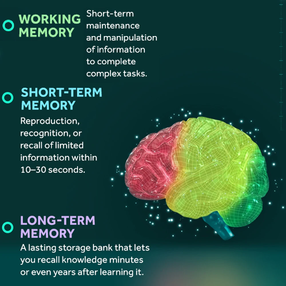 Memory 3D Brain Supplement - Decaffeinated Nootropic Capsules for Memory, Focus, & Cognitive Function - Short/Long Term, Working